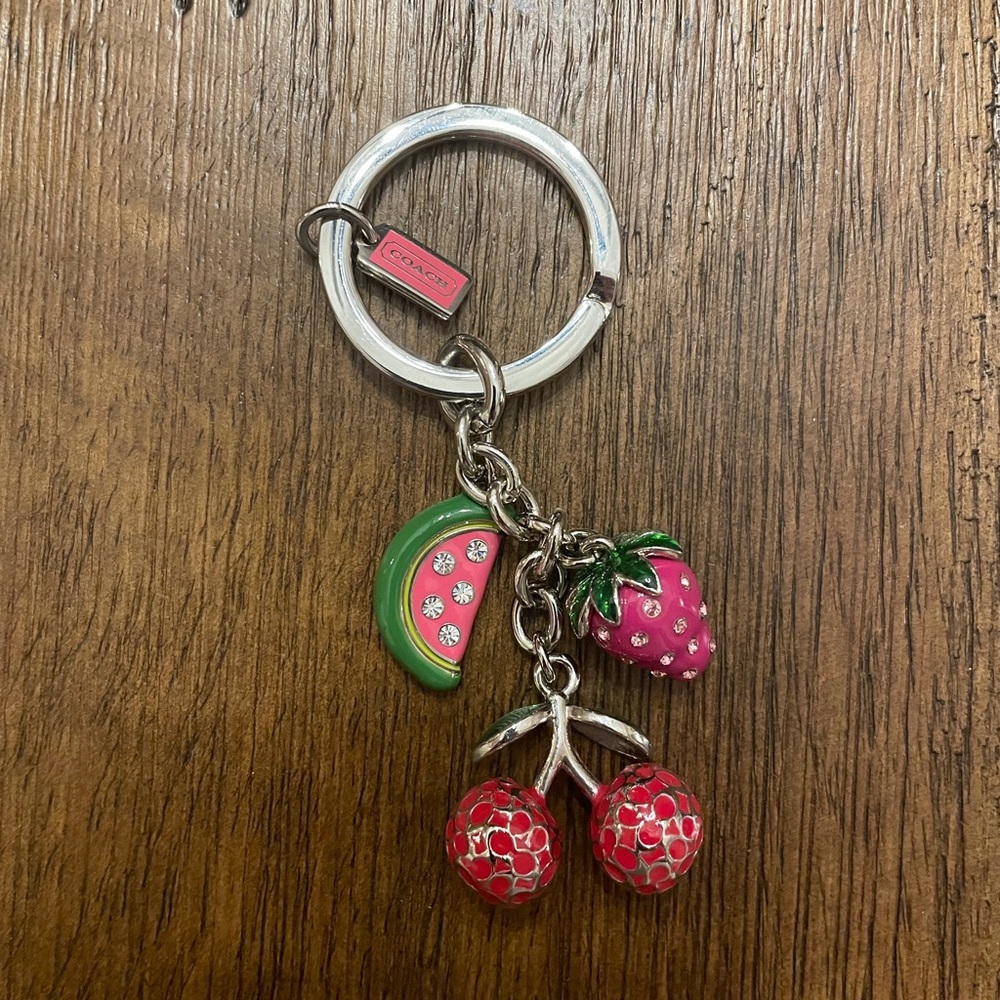Coach keychain